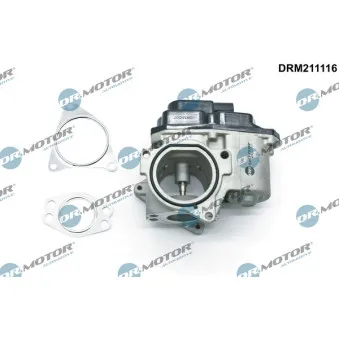 Dr.Motor DRM211116 - Vanne EGR