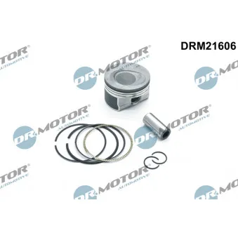 Piston Dr.Motor OEM 028 PI 00130 000