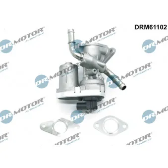 Dr.Motor DRM61102 - Vanne EGR