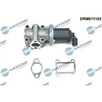 Dr.Motor DRM611102 - Vanne EGR