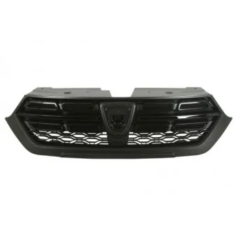Grille de radiateur BLIC 6502-07-1311991P