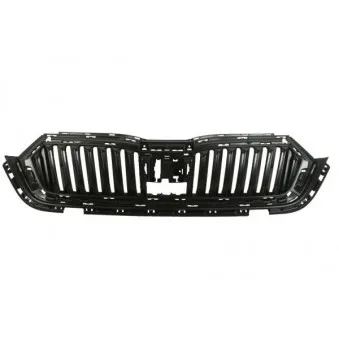 Grille de radiateur BLIC 6502-07-7523990P