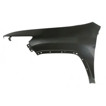 Aile avant gauche BLIC 6504-04-3206315P