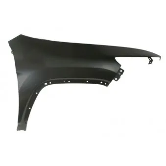 Aile avant droit BLIC 6504-04-3206316P