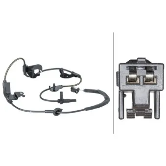 Capteur, vitesse de roue arrière droit HELLA OEM 8954542040