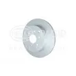 HELLA 8DD 355 131-391 - Jeu de 2 disques de frein arrière