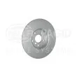 HELLA 8DD 355 132-391 - Jeu de 2 disques de frein arrière