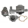 JP GROUP 4014100900 - Pompe à eau