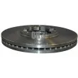 JP GROUP 4063100800 - Jeu de 2 disques de frein avant