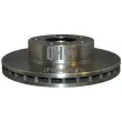 JP GROUP 4163101900 - Jeu de 2 disques de frein avant