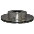 JP GROUP 4163102500 - Jeu de 2 disques de frein avant