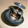 OE 1338F5 - Thermostat d'eau