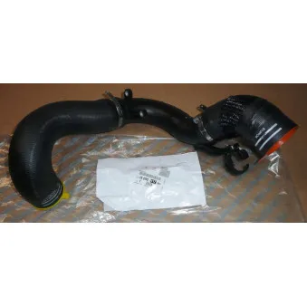 Gaine de suralimentation OE OEM 1609011780