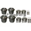 JP GROUP 8110701412 - Kit de réparation, Piston/Chemise de cylindre