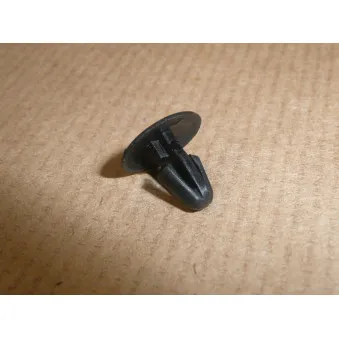 Baguette & Bande Protectrice Porte Arrière Droite PRASCO CI3221451 - Compatible CITROËN C3 I (2002-2013) - Avec Apprêt