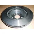 OE 7701208130 - Jeu de 2 disques de frein avant