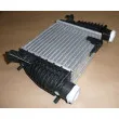 OE 8200471888 - Intercooler, échangeur