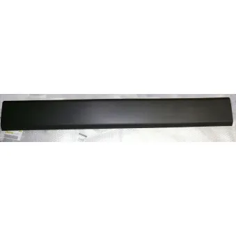 OE 828200148R - Baguette et bande protectrice, panneau latérale