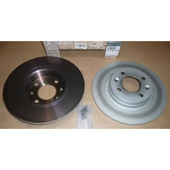 Jeu de 2 disques de frein avant OE OEM 402065236R