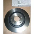 OE 402066624R - Jeu de 2 disques de frein avant