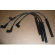 OE 224404659R - Kit de câbles d'allumage