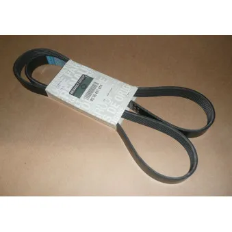Courroie trapézoïdale à nervures OE OEM 8200431014