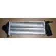 OE 8200382109 - Intercooler, échangeur