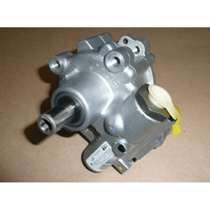 Pompe hydraulique, direction OE 491106387R - Visuel 1