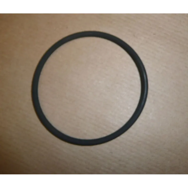 Bague d'étanchéité OE 7701064296 - Visuel 1