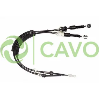 Tirette à câble, boîte de vitesse manuelle CAVO OEM 10-4404