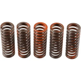Kit de ressorts d'embrayage TRW MEF321-5