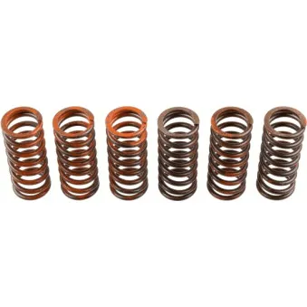 Kit de ressorts d'embrayage TRW MEF325-6