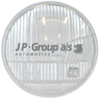 Disperseur, projecteur principal JP GROUP OEM 141941115D