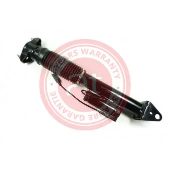 Jeu de 2 amortisseurs arrière at autoteile germany OEM 1663202030