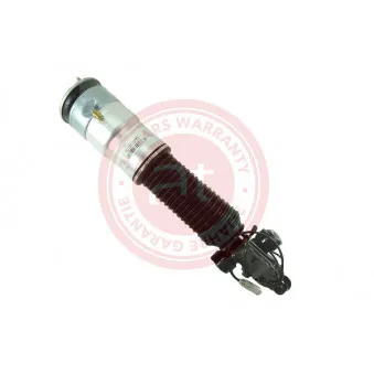Armortisseur pneumatique arrière gauche at autoteile germany OEM 37126791675
