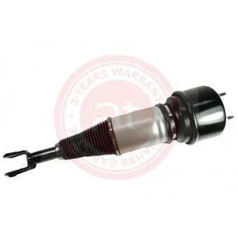 Armortisseur pneumatique at autoteile germany OEM C2C41349