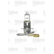 Ampoule, projecteur antibrouillard VALEO [032005]