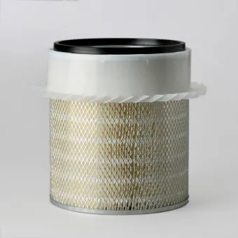 Filtre à air DONALDSON OEM 2MD455AP2