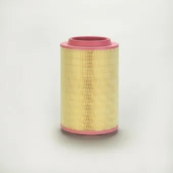 Filtre à air DONALDSON OEM 4586056114
