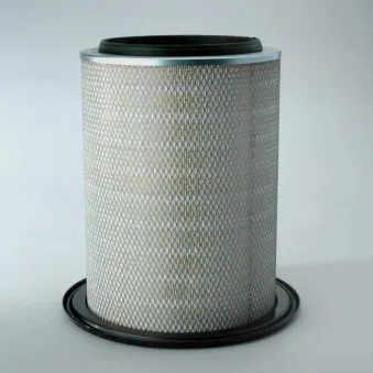 Filtre à air DONALDSON P784467