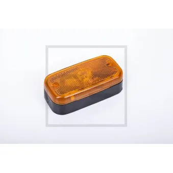 Feu latéral PE Automotive OEM 1302703