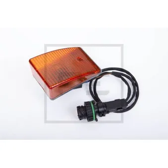 PE Automotive 010.263-00A - Feu clignotant