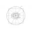 PE Automotive 010.340-00A - Roue du souffleur, refroidissementdu moteur