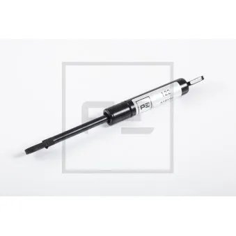 Vérin PE Automotive OEM 0009198745 Vérin PE Automotive OEM 0009198745