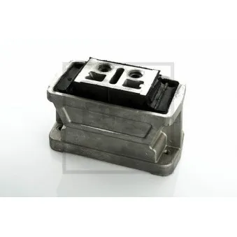 Support moteur PE Automotive OEM 6452400418