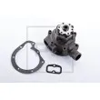 PE Automotive 010.705-00A - Pompe à eau