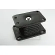 PE Automotive 014.301-00A - Coussinet, ressort parabolique