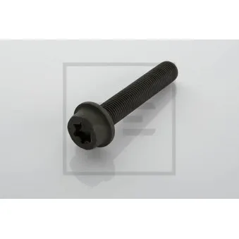 Vis, disque de frein PE Automotive 016.176-00A