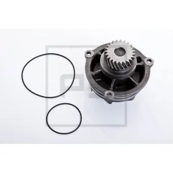 Pompe à eau PE Automotive OEM 061318939