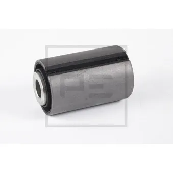 PE Automotive 024.301-00A - Coussinet de palier, ressort à lames